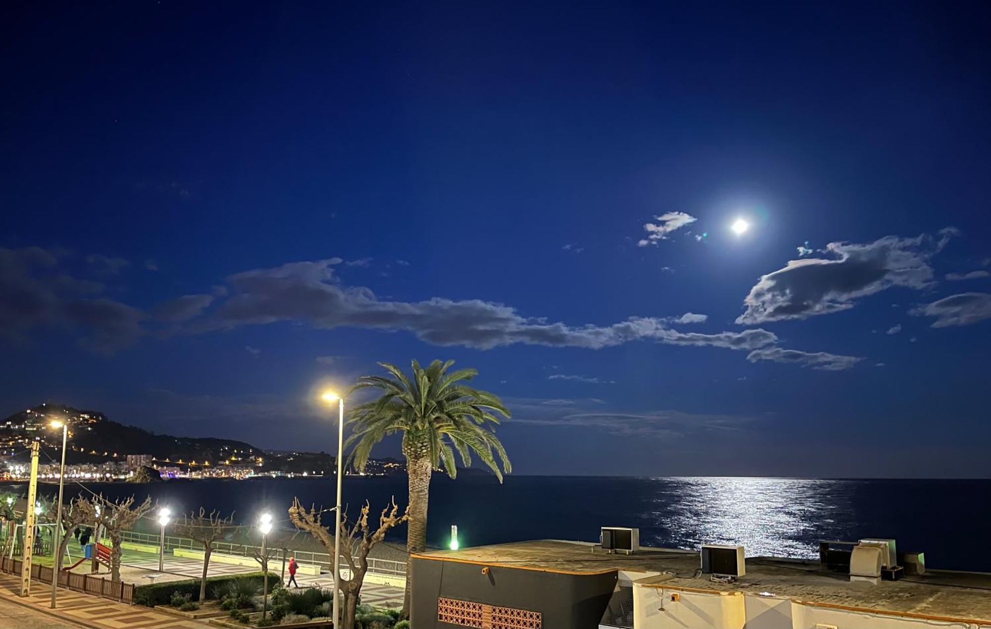 Estudio Con Impresionantes Vistas Al Mar Бланес Экстерьер фото