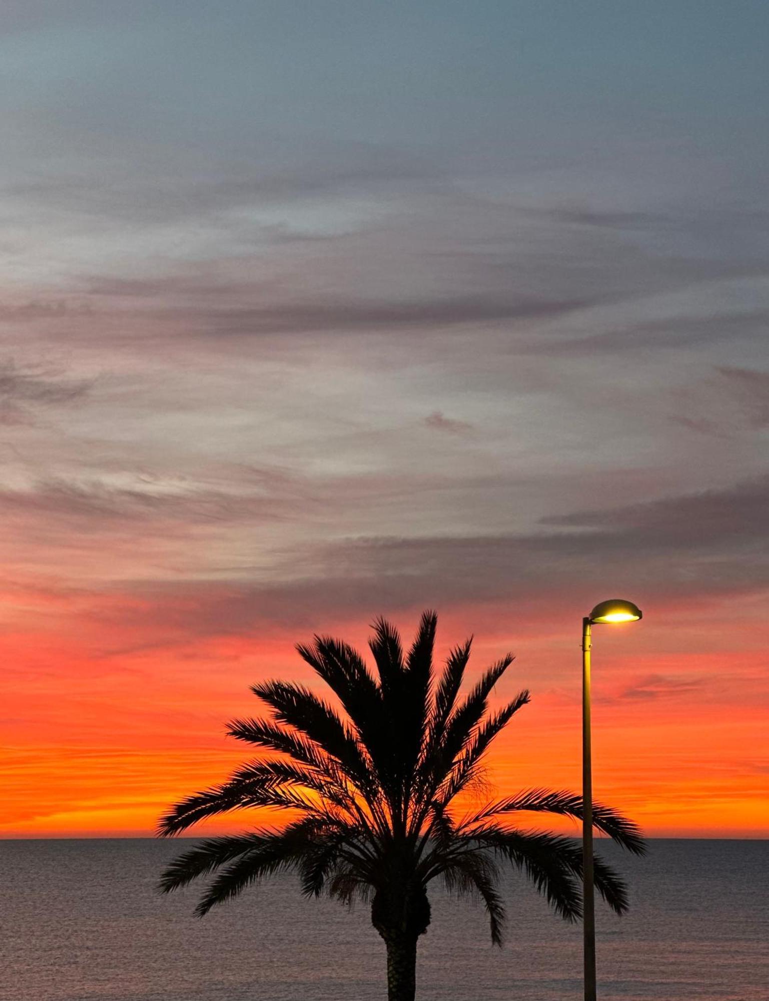 Estudio Con Impresionantes Vistas Al Mar Бланес Экстерьер фото